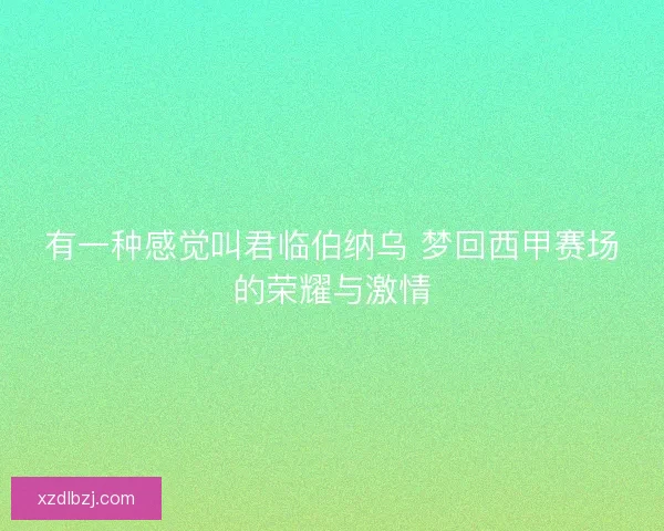 有一种感觉叫君临伯纳乌 梦回西甲赛场的荣耀与激情