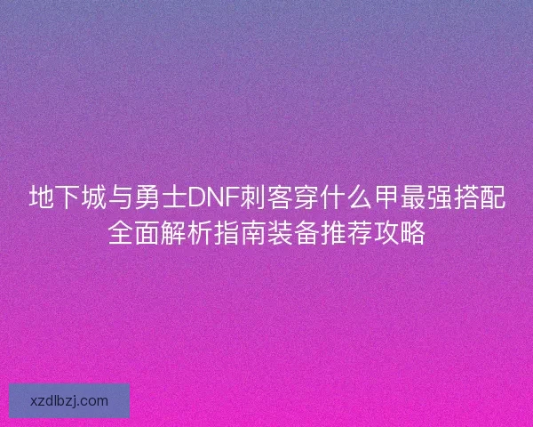 地下城与勇士DNF刺客穿什么甲最强搭配全面解析指南装备推荐攻略