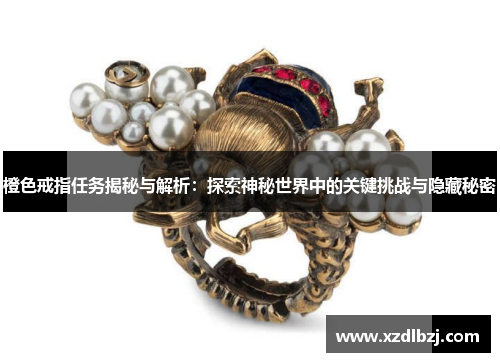 橙色戒指任务揭秘与解析：探索神秘世界中的关键挑战与隐藏秘密