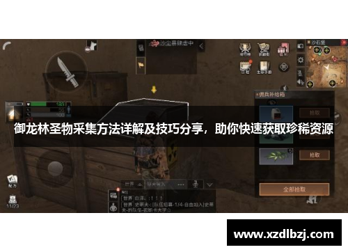 御龙林圣物采集方法详解及技巧分享，助你快速获取珍稀资源