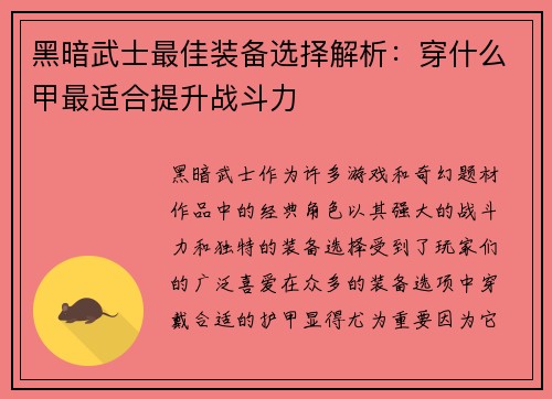 黑暗武士最佳装备选择解析：穿什么甲最适合提升战斗力