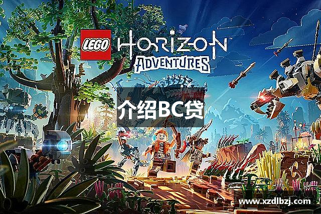 介绍BC贷